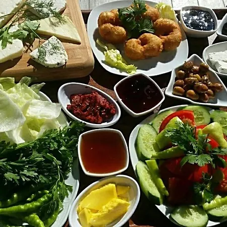 Hotel Kazdaglari Karye Mueze Küçükkuyu