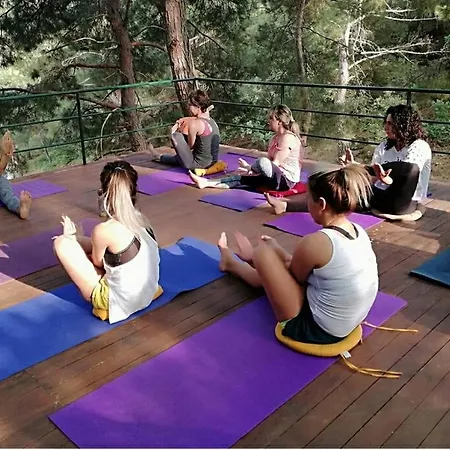 Kazdaglari Karye Mueze 3* Küçükkuyu