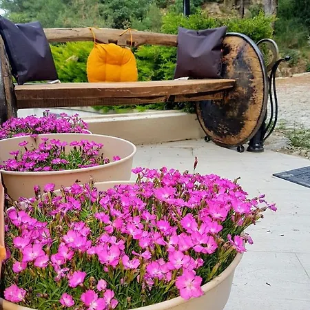 Kazdaglari Karye Mueze 3* Küçükkuyu