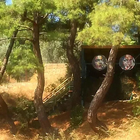 Kazdaglari Karye Mueze Hotel 3*