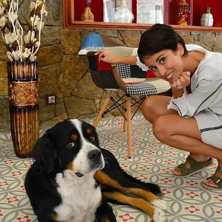 Kazdaglari Karye Mueze