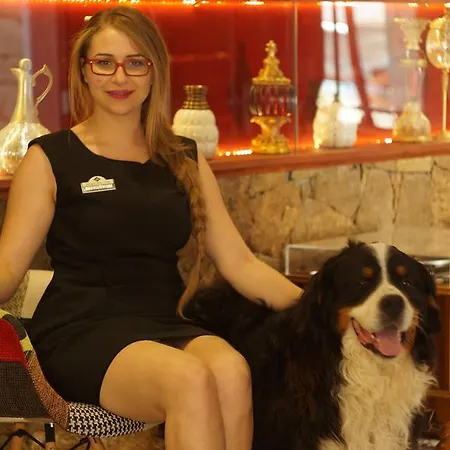 Hotel Kazdaglari Karye Mueze Kucukkuyu