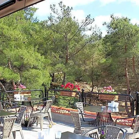 Kazdaglari Karye Mueze